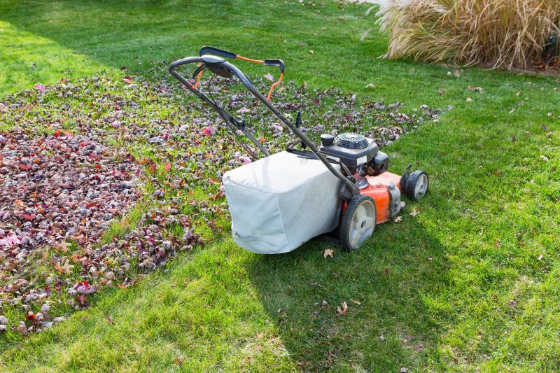Leaves Mowing
