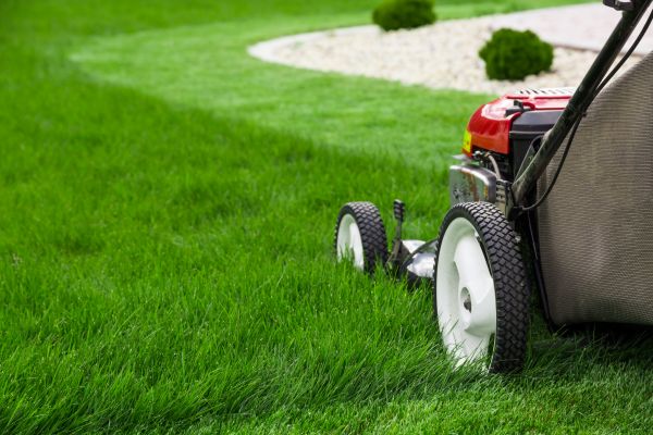 Cost of Grass Cutting Service in Falls Church