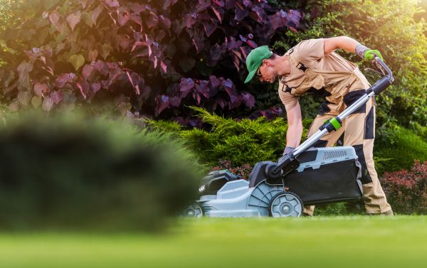 Cost of Lawn Care And Maintenance in Falls Church