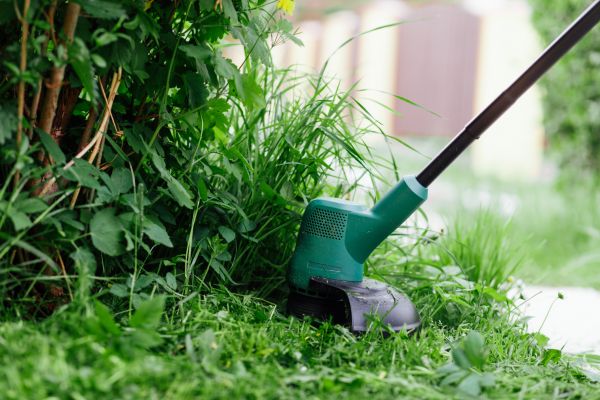 Cost of Weed Whacking in Falls Church