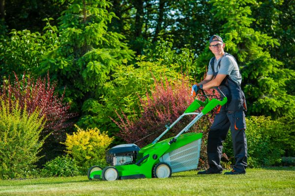 Yard Work Service in Falls Church