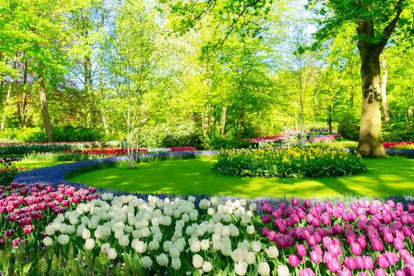 Cost of Spring Lawn Care in Falls Church