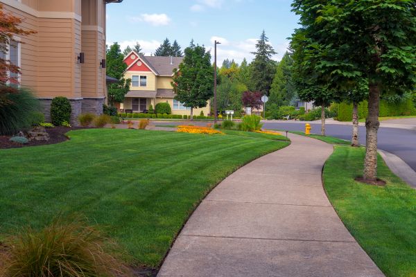 Cost of Home Lawn Maintenance in Falls Church