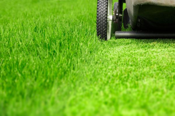 Weekly Lawn Care in Falls Church
