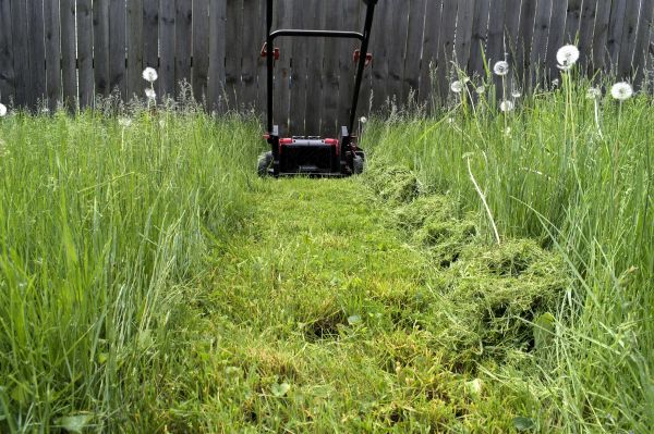 High Grass Mowing in Falls Church