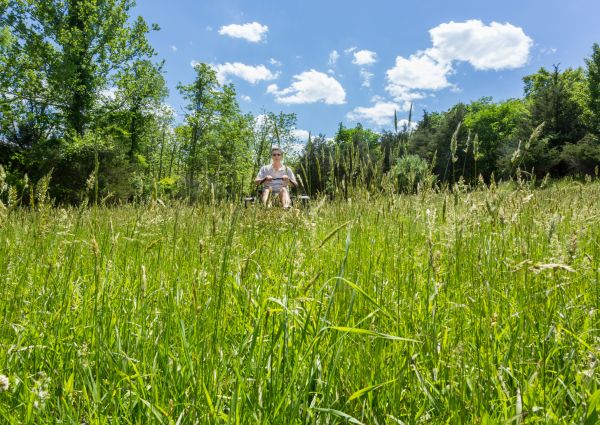Long Grass Mowing in Falls Church