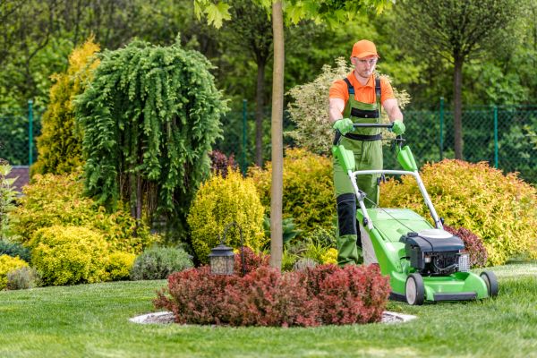 Commercial Yard Maintenance in Falls Church