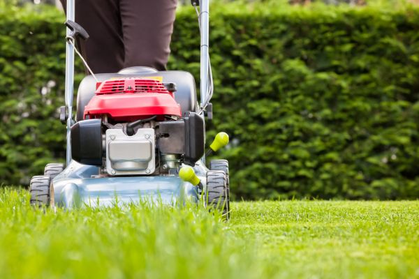 Cost of Grass Trimming Service in Falls Church