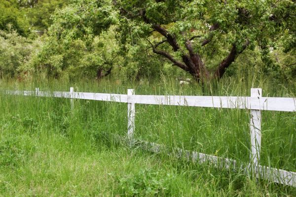 Cost of Fence Line Trimming in Falls Church