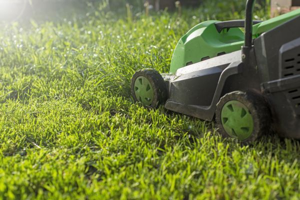 Cost of Residential Lawn Maintenance in Falls Church