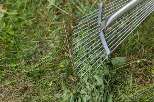 Cost of Thatch Raking in Falls Church