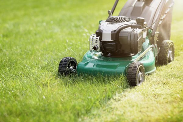 Cost of Spring Grass Trimming in Falls Church