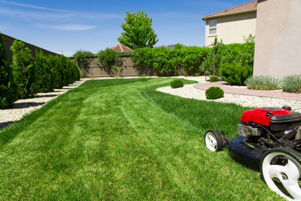 Residential Lawn Mowing in Falls Church